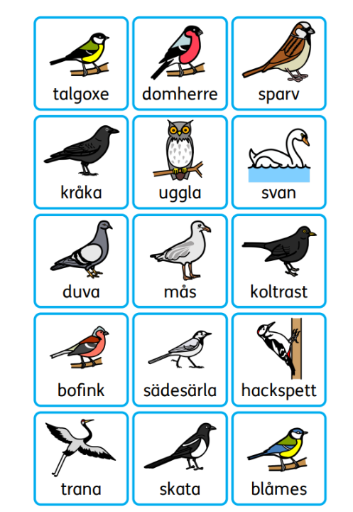 Pärmbilden för Lottospel med fåglar